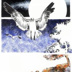 strip_kamni_in_morje_2_original